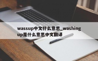 wassup中文什么意思_washingup是什么意思中文翻译