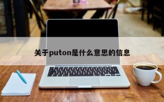 关于puton是什么意思的信息