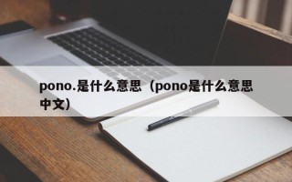 pono.是什么意思（pono是什么意思中文）