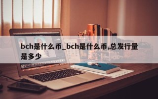 bch是什么币_bch是什么币,总发行量是多少