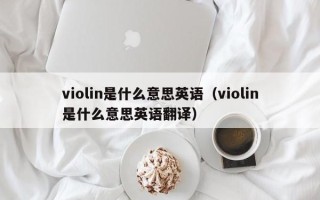 violin是什么意思英语（violin是什么意思英语翻译）