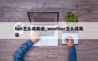 bee怎么读英语_weather怎么读英语