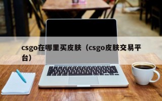 csgo在哪里买皮肤（csgo皮肤交易平台）