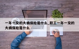 一年一交的大病保险是什么_职工一年一交的大病保险是什么