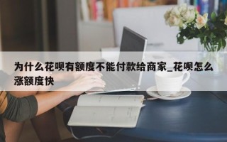 为什么花呗有额度不能付款给商家_花呗怎么涨额度快