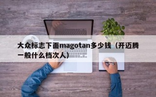 大众标志下面magotan多少钱（开迈腾一般什么档次人）