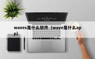 waves是什么软件（wave是什么app）