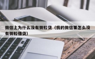 微信上为什么没有微粒贷（我的微信里怎么没有微粒借贷）