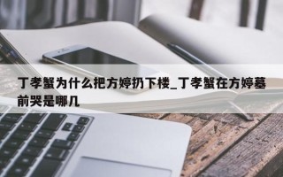 丁孝蟹为什么把方婷扔下楼_丁孝蟹在方婷墓前哭是哪几