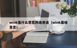 wink是什么意思网络用语（wink是啥意思）