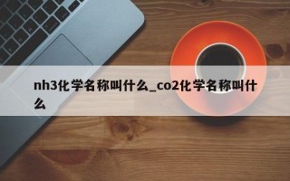 nh3化学名称叫什么_co2化学名称叫什么