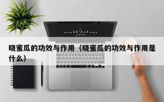 晓蜜瓜的功效与作用（晓蜜瓜的功效与作用是什么）