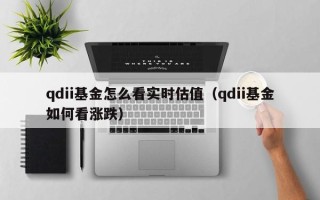 qdii基金怎么看实时估值（qdii基金如何看涨跌）