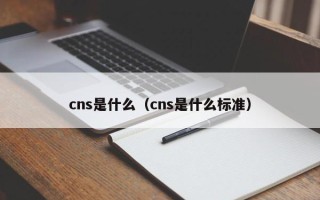 cns是什么（cns是什么标准）