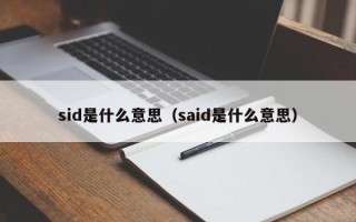 sid是什么意思（said是什么意思）