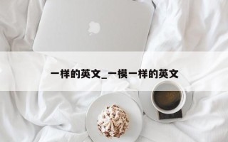 一样的英文_一模一样的英文