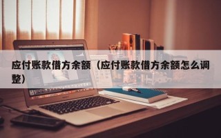 应付账款借方余额（应付账款借方余额怎么调整）