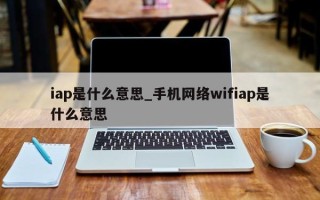 iap是什么意思_手机网络wifiap是什么意思