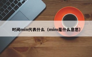 时间min代表什么（mim是什么意思）