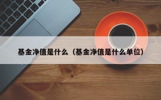 基金净值是什么（基金净值是什么单位）