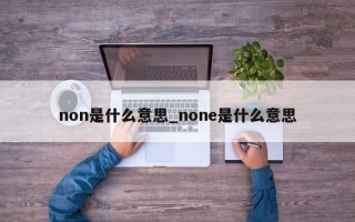 non是什么意思_none是什么意思