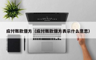 应付账款借方（应付账款借方表示什么意思）