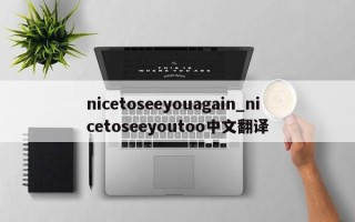 nicetoseeyouagain_nicetoseeyoutoo中文翻译