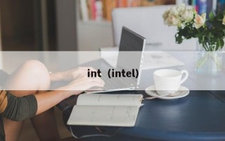 int（intel）