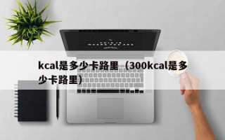 kcal是多少卡路里（300kcal是多少卡路里）