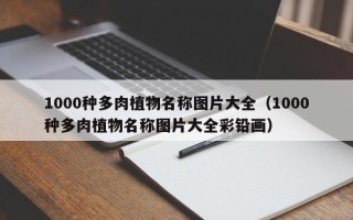 1000种多肉植物名称图片大全（1000种多肉植物名称图片大全彩铅画）