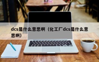 dcs是什么意思啊（化工厂dcs是什么意思啊）