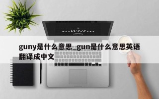 guny是什么意思_gun是什么意思英语翻译成中文