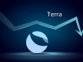 Terra公链有前景吗？Terra公链前景预测