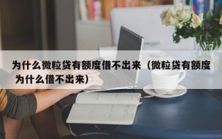 为什么微粒贷有额度借不出来（微粒贷有额度 为什么借不出来）