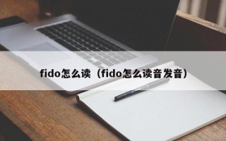 fido怎么读（fido怎么读音发音）