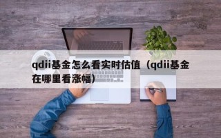 qdii基金怎么看实时估值（qdii基金在哪里看涨幅）