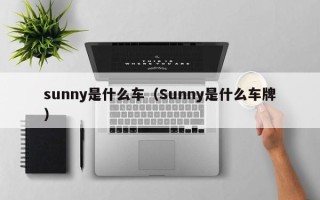 sunny是什么车（Sunny是什么车牌）