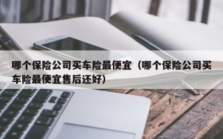 哪个保险公司买车险最便宜（哪个保险公司买车险最便宜售后还好）