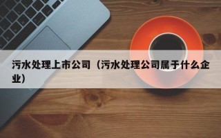 污水处理上市公司（污水处理公司属于什么企业）