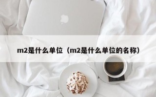 m2是什么单位（m2是什么单位的名称）