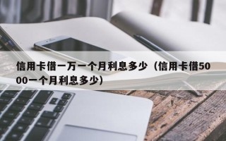 信用卡借一万一个月利息多少（信用卡借5000一个月利息多少）