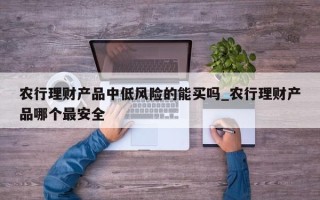 农行理财产品中低风险的能买吗_农行理财产品哪个最安全