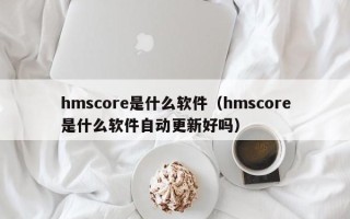 hmscore是什么软件（hmscore是什么软件自动更新好吗）