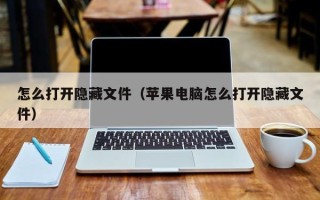 怎么打开隐藏文件（苹果电脑怎么打开隐藏文件）