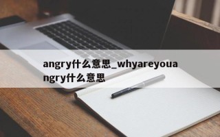 angry什么意思_whyareyouangry什么意思