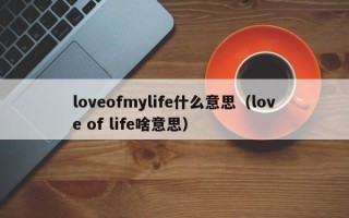 loveofmylife什么意思（love of life啥意思）