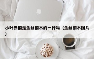 小叶赤楠是金丝楠木的一种吗（金丝楠木图片）