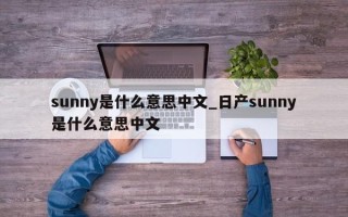 sunny是什么意思中文_日产sunny是什么意思中文