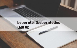 bebornto（beborntodosth造句）