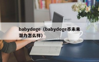 babydoge（babydoge币未来潜力怎么样）